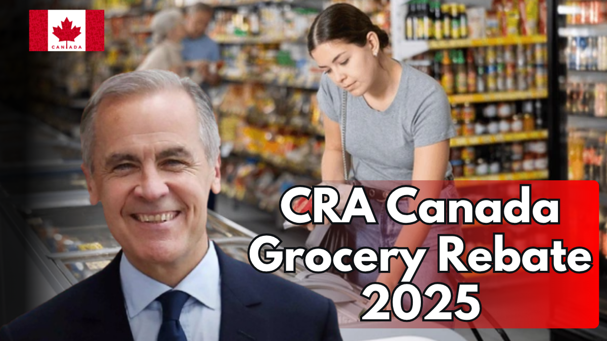 CRA Canada Grocery Rebate November 2025 Dates, Eligibility, Amounts, and How To Prepare